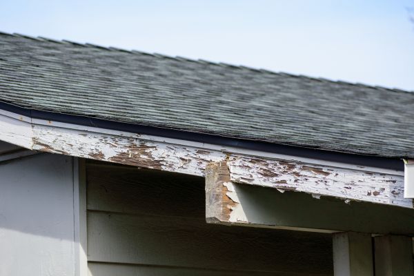 Springfield Wood Rot Repair