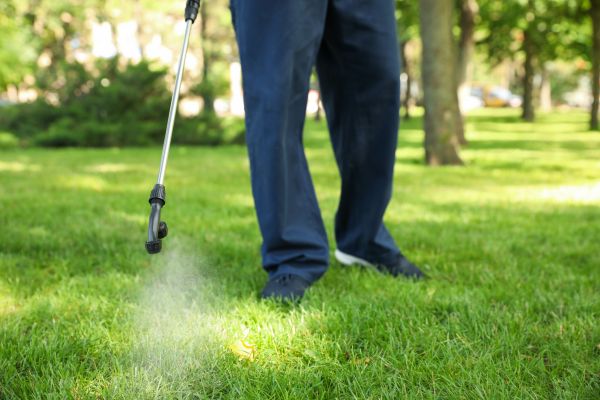 Springfield Lawn Treatment