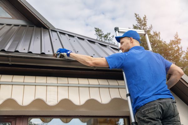 Springfield Gutter Cleaning